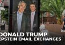 US House Democrats release emails suggesting Trump knew of Epstein’s crimes