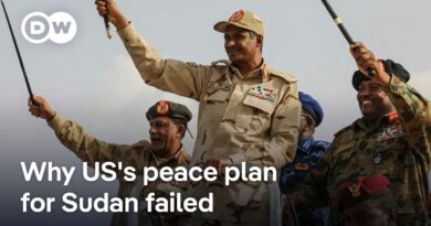 US peace plan for Sudan rejected by both of Sudan’s warring factions | DW News