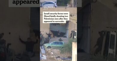 Video Shows Israeli Forces Killing Militants Who Appeared to Surrender