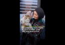 Volunteers in Gaza care for animals amid war and destruction | AJ #shorts