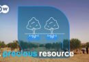Water scarcity – Innovation to combat drought | DW Documentary