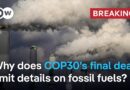 Wealthier nations should triple funding against effects of climate crisis, COP30 agrees | DW News