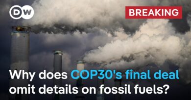 Wealthier nations should triple funding against effects of climate crisis, COP30 agrees | DW News