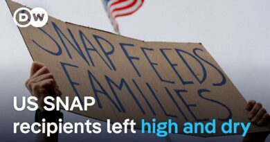 What are SNAP benefits and why has the US government shutdown axed them? | DW News