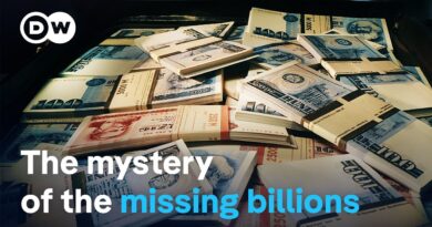 What became of the riches of East Germany’s socialist party?  | DW Documentary