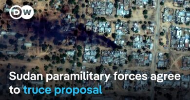 What conditions are the Sudanese Armed Forces demanding for a ceasefire with the RSF? | DW News