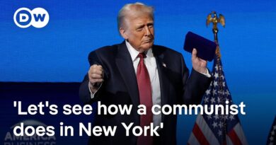 What do Democrats’ victories mean for the party’s process of moving forward? | DW News