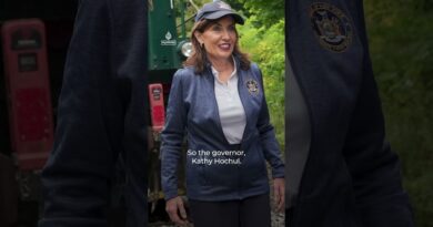 What does the New York mayor do?