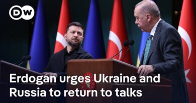 What has driven Erdogan to step back into the center of diplomacy? | DW News