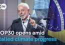 What is a realistic goal for COP30 if the world has already deviated from the Paris goals? | DW News