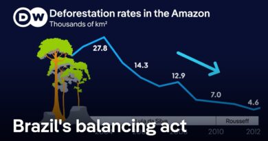 What kind of climate player is Brazil really?  |  DW News