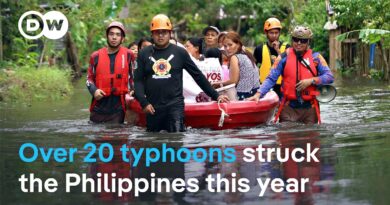 What lessons have been learned for future extreme weather events? | DW News