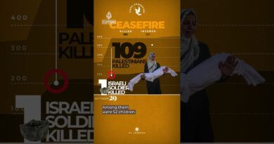 What one month of ceasefire in Gaza looks like | By the Numbers
