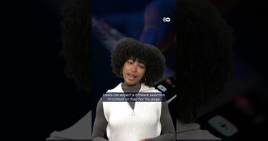 What will change in the new US version of TikTok? | DW News