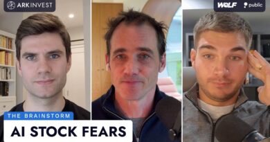 What’s Going On With AI Stocks? | The Brainstorm EP 110