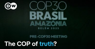 What’s left of international efforts to curb Climate Change? | DW News