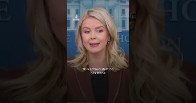 White House: Epstein emails ‘prove nothing’