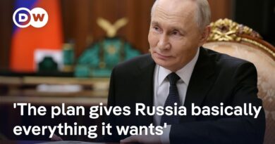White House say the peace plan is ‘good’ for Ukraine and Russia | DW News