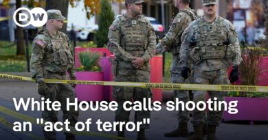 White House suspends immigration requests for Afghan nationals following shooting | DW News