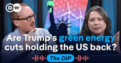Why America’s clean energy retreat could hand China an edge | The Dip Podcast