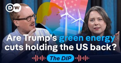 Why America’s clean energy retreat could hand China an edge | The Dip Podcast