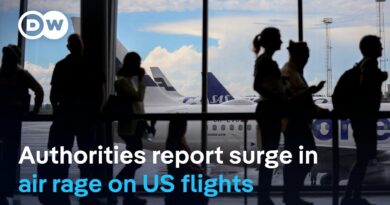 Why are increasing numbers of passengers losing their minds mid-air? | DW News