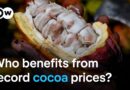Why cocoa farmers don’t profit from record prices for chocolate | DW News