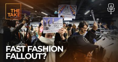 Why France is ready to pull the plug on Shein | The Take