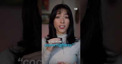 Why has Ecuador become a “war zone”? | DW Documentary