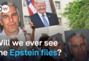 Why has Trump called on Republicans to release the Epstein files now?