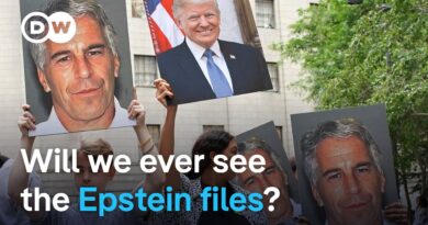 Why has Trump called on Republicans to release the Epstein files now?