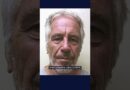 Why is Trump suddenly backing the release of the Epstein files? | DW News