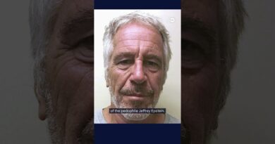 Why is Trump suddenly backing the release of the Epstein files? | DW News