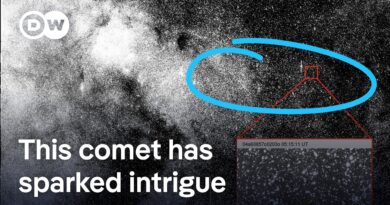 Why some think this comet could conceal alien handiwork | DW News