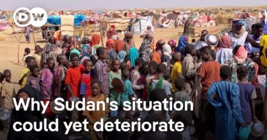 Why Sudan could be at risk of full scale famine | DW News