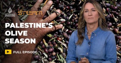 Why the Olive Harvest in Palestine Is More Than Just Farming | The Stream