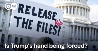 Why Trump suddenly called for Epstein files to be released | DW News