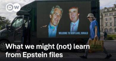 Why we still know so little about Epstein files despite Trump signing the bill | DW News