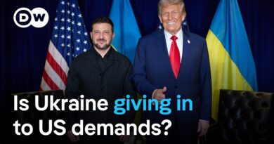 Why Zelenskyy has not publicly slammed US-backed peace proposal | DW News