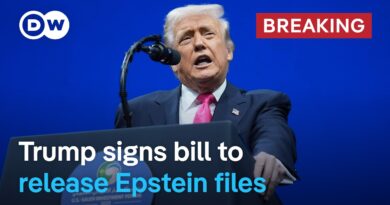 Will the Epstein files now be released within 30 days? | DW News
