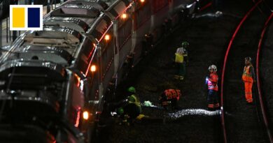 Witness recounts UK train stabbing