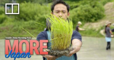 Your next Japan adventure could be this network of farms