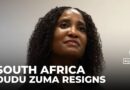 Zuma-Sambudla quits parliament: Accused of luring men to fight for Russia