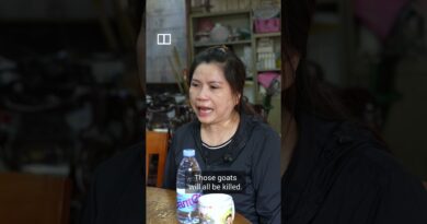 600 goats to be culled if not rehomed in Hong Kong