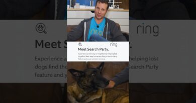 #ad Ashley from the Hype Desk sat down with Ring CEO Jamie Siminoff to learn about Search Party.