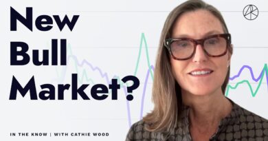 AI, Tax Cuts & A New Bull Market?| ITK With Cathie Wood
