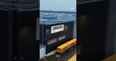 Amazon: Who pays the price? | DW Documentary