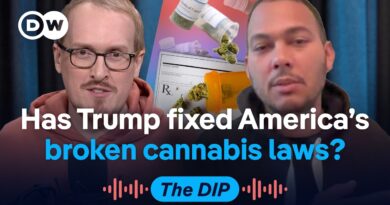 America’s biggest shift in federal drug policy in over 50 years | The Dip Podcast