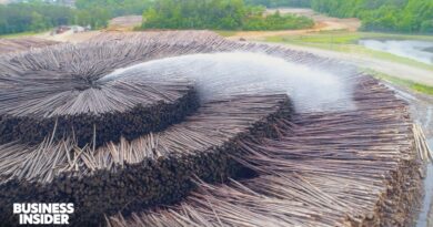 Are Slumping Cardboard Box Sales A Bad Sign For The Economy?