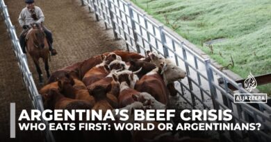 Argentina’s booming beef exports spark domestic price worries